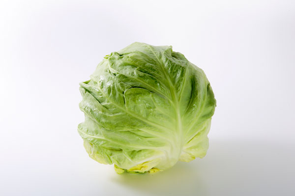 新鮮な新キャベツ（春キャベツ）を丸ごと一個を白いバックに置いて撮影した写真