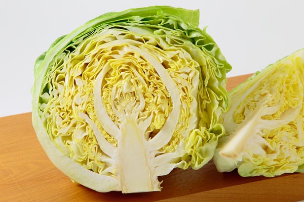 新キャベル（春キャベツ）を2分の1にカットして断面を見せて撮影した。 