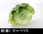 新キャベツ（春キャベツ）5