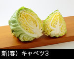 新キャベツ（春キャベツ）3