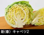 新キャベツ（春キャベツ）2