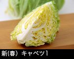 春キャベツ〔新キャベツ）