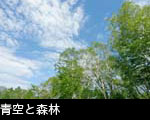 青空と森林