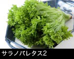 サラノバレタス2