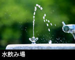 公園の水飲み場