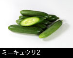ミニキュウリ2