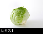 玉レタス1