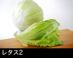 玉レタス2