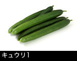 キュウリ1