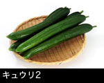 キュウリ2