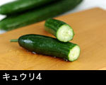 キュウリ4
