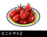 ミニトマト2