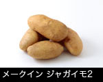 　メークイン（ジャガイモ）2