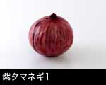 紫タマネギ1
