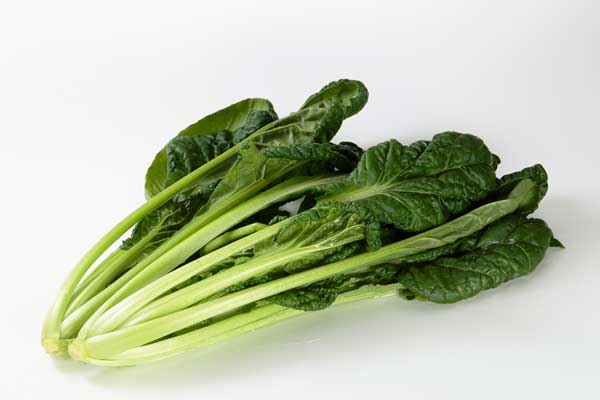 白い背景ちぢみ菜を2株おいて撮影1カット。
