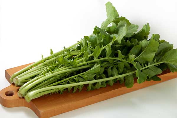 まな板の上に数株置いた画像。収穫したての新鮮な野菜。