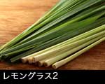 レモングラス2