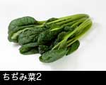 ちぢみ菜2