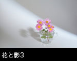 花・影・光3