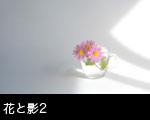 花・影・光2