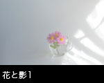 花・影・光1