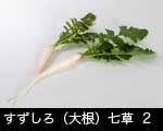 すずしろ2