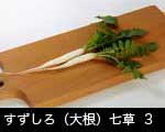 すずしろ3