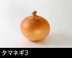 タマネギ（玉葱）3