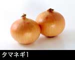 タマネギ（玉葱）1