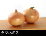 タマネギ（玉葱）2