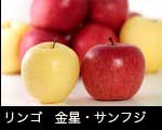 りんご（サンフジ・金星）