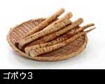ごぼう3