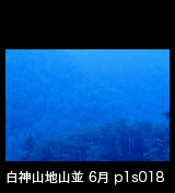 世界自然遺産「白神山地」 青色のブナ林と山並み山肌　6月