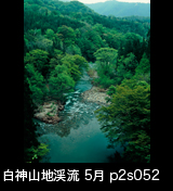 世界自然遺産白神山地渓流写真
