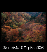 世界自然遺産「白神山地」黄葉紅葉する秋の山並み　10月　p5sa006