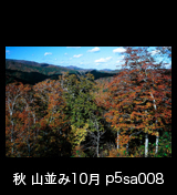 世界自然遺産「白神山地」黄葉紅葉する秋の山並み　10月　p5sa008